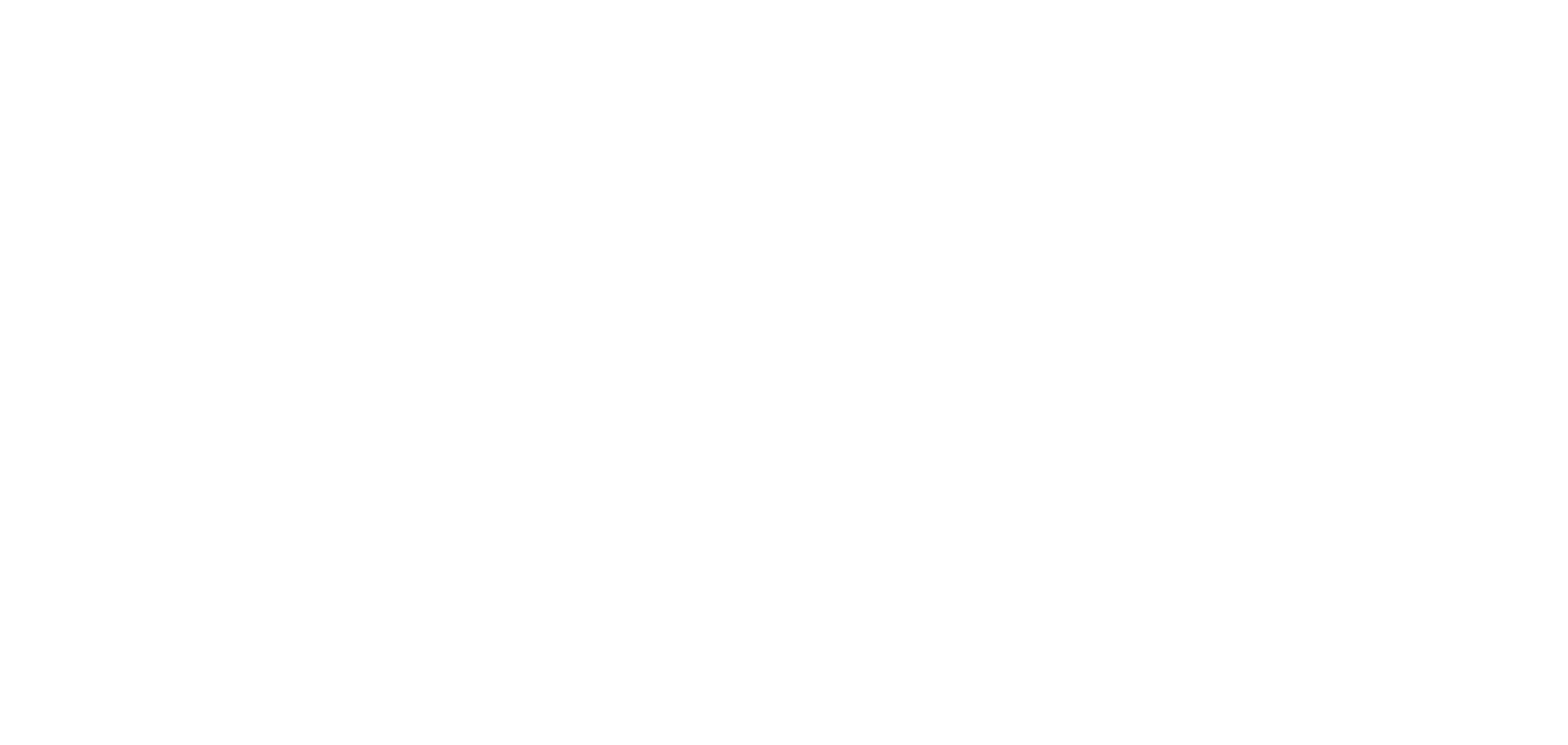 Bruce Lee 86th anniversary