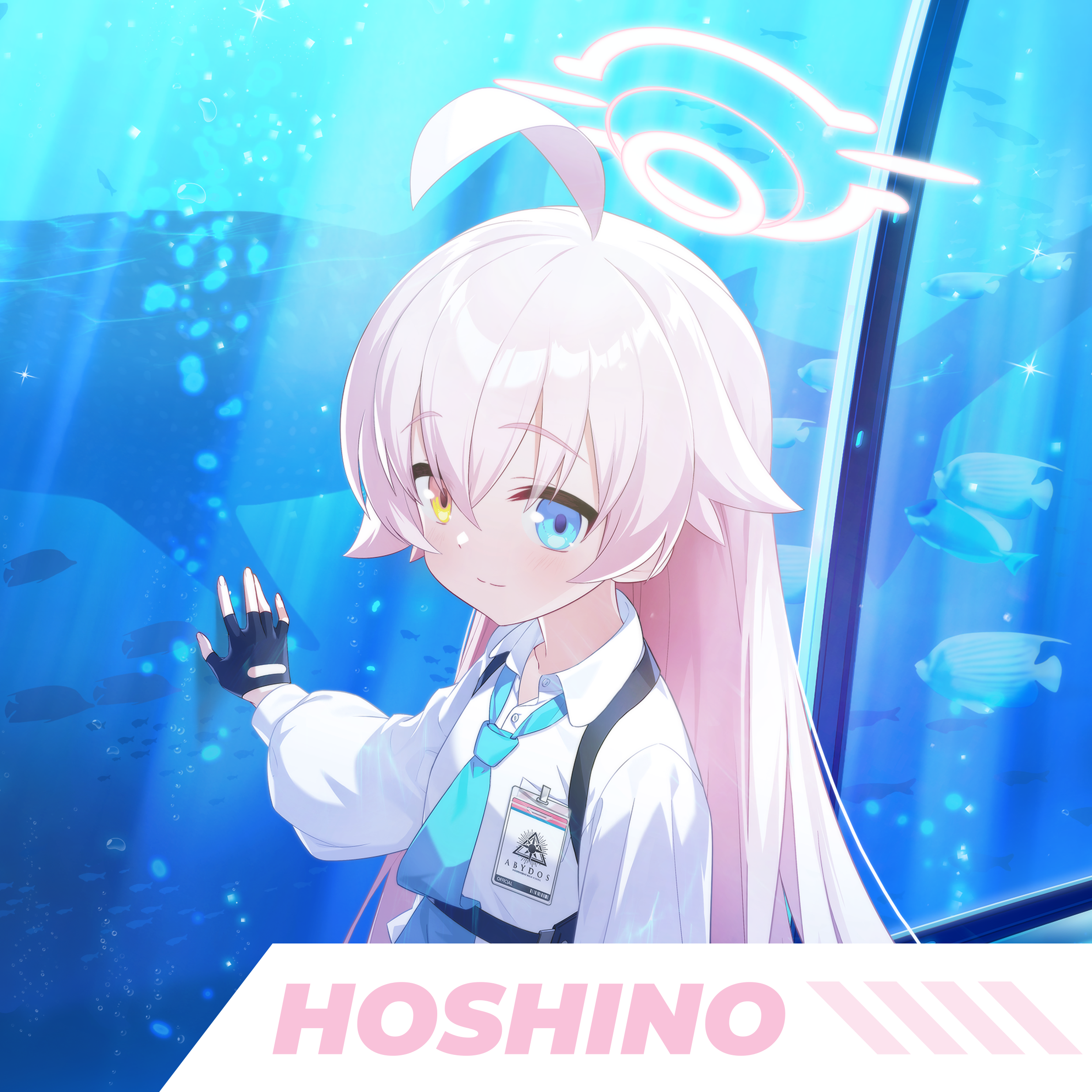 Blue Archive Hoshino