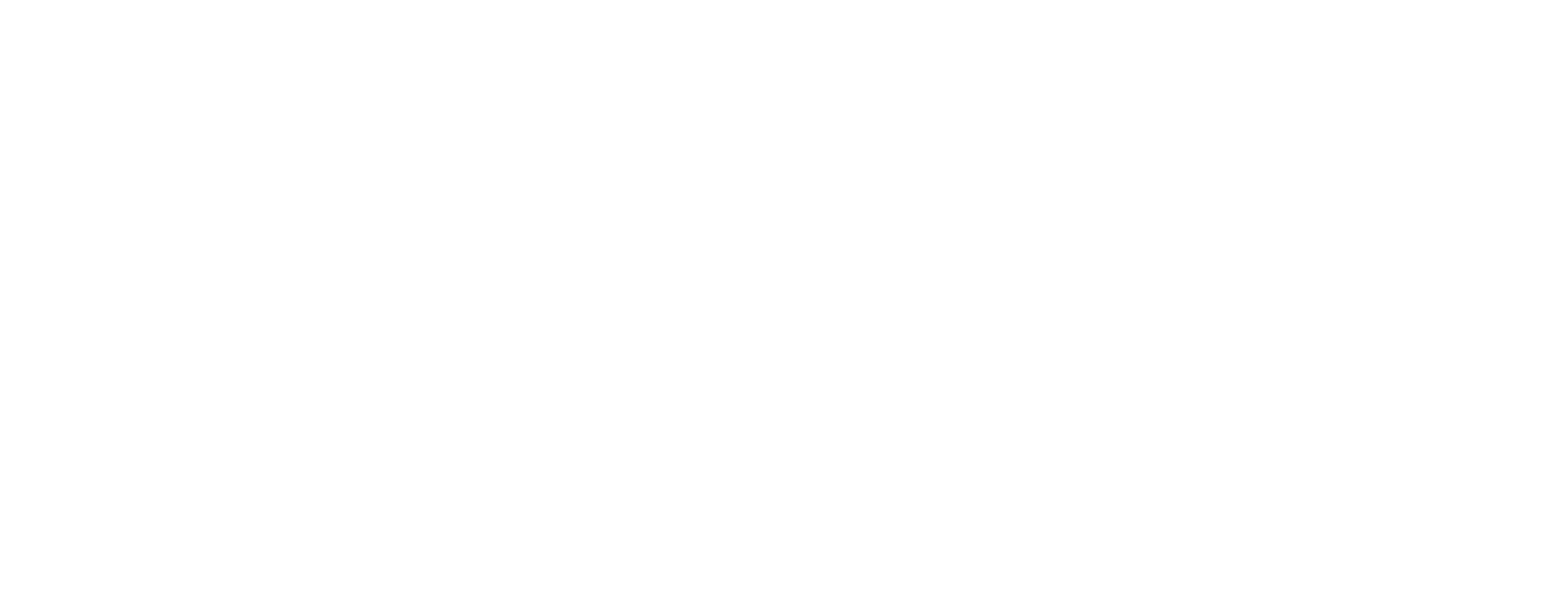 Bruce Lee 86th anniversary